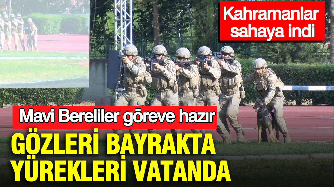 Haber gorseli