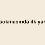 ari-sokmasinda-ilk-yardim