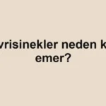 sivrisinekler-neden-kan-emer